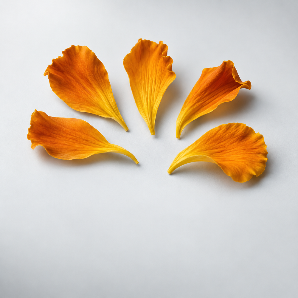Golden marigold petals representing zeaxanthin