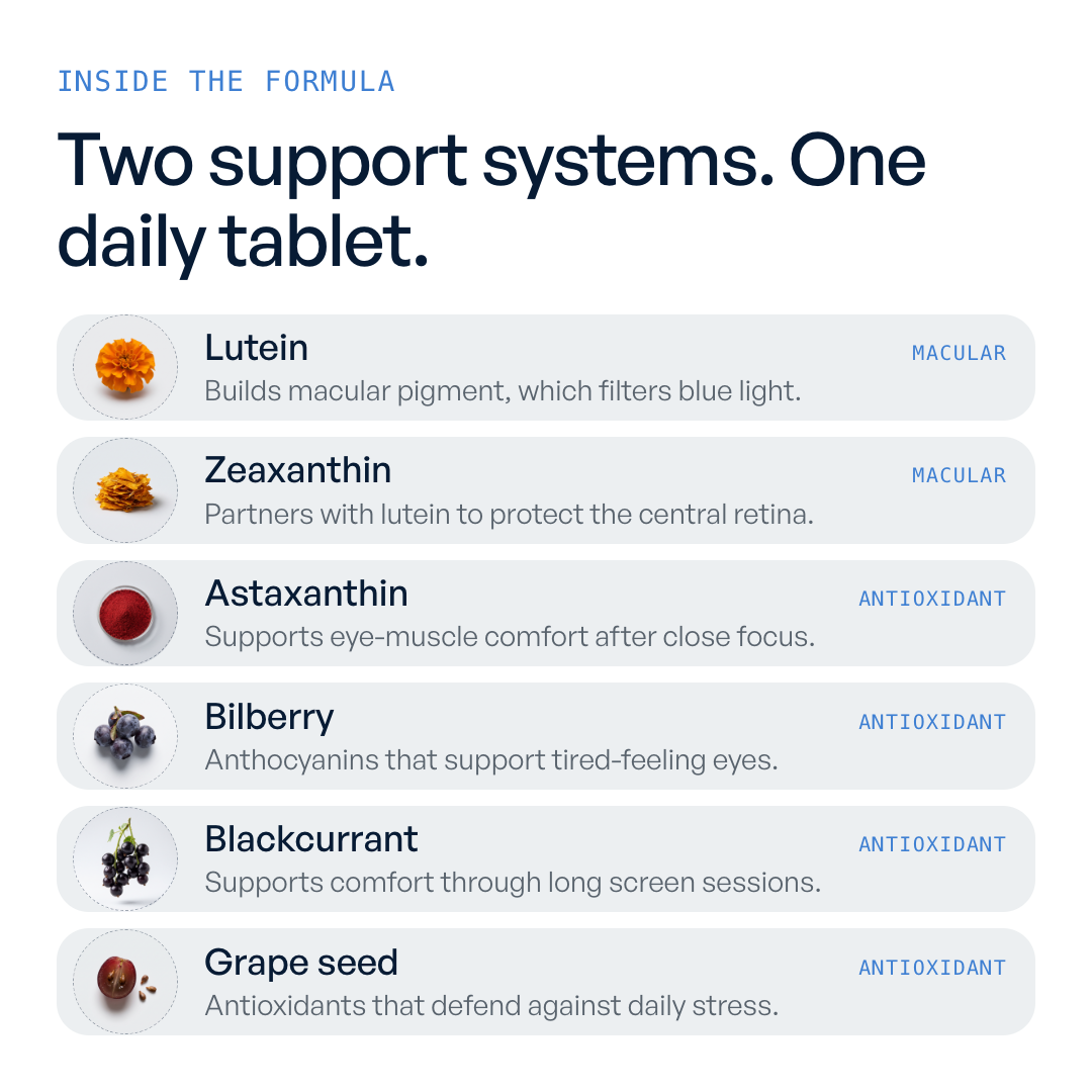 OSTRA Daily Screen Support